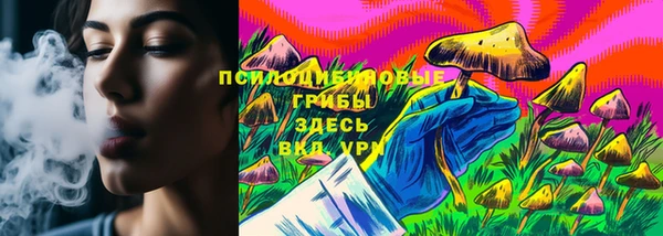 МДПВ Елабуга